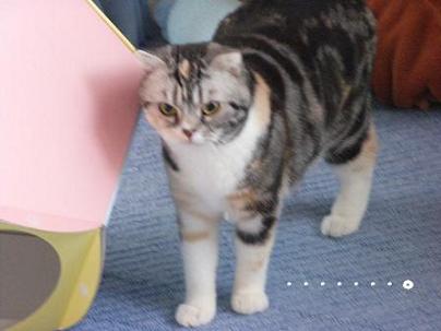 img20061111.jpg
