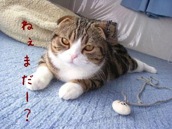 img20060420_2.jpg