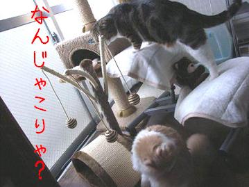 img20061121_3.jpg