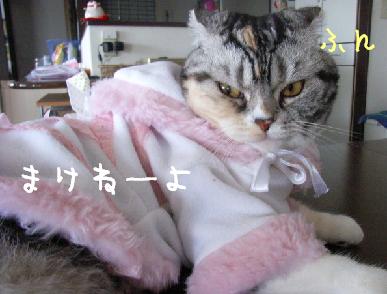 img20061013_1.jpg