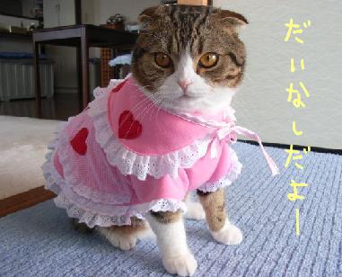 img20061013.jpg