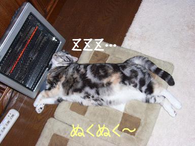 img20061121.jpg