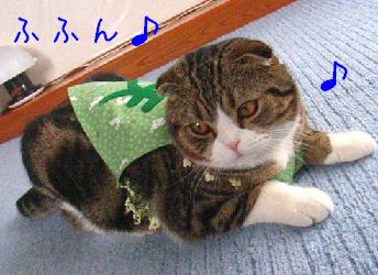 img20060707_3.jpg