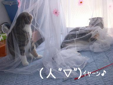 img20060417.jpg