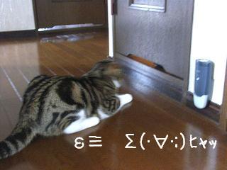 g.jpg
