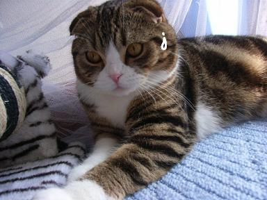 img20061013_4.jpg