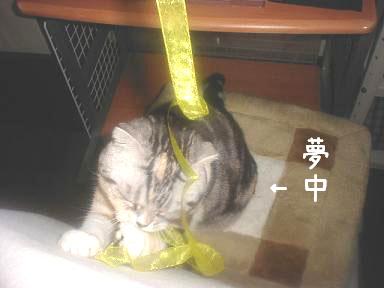 img20060304.jpg