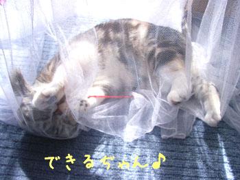 img20060420_1.jpg