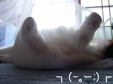 img20061013_5.jpg