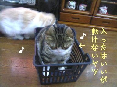 img20061121_2.jpg