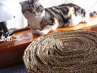 img20061108_2.jpg