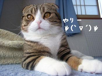 img20060420_4.jpg