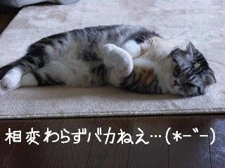 img20060426.jpg