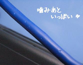 img20060817_1.jpg
