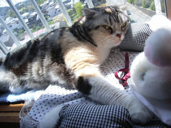 img20060420_6.jpg
