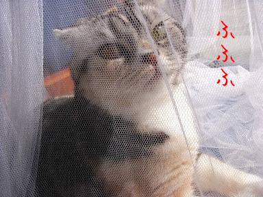 img20061013_3.jpg