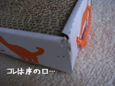 img20060817_2.jpg