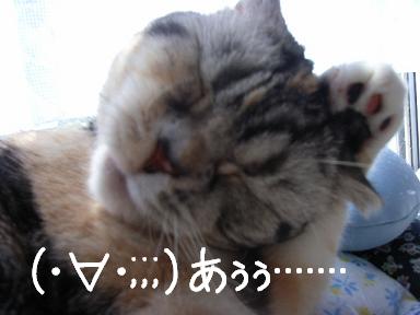 5-5.jpg