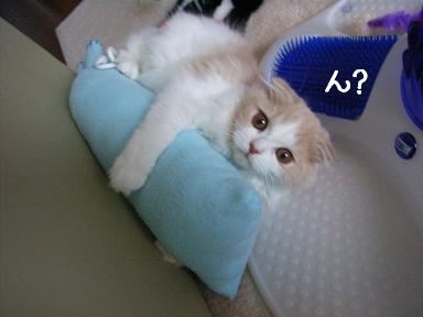 img20060817_3.jpg
