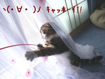 img20060420_5.jpg