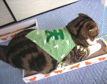 img20060707_4.jpg