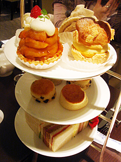img20080203_3.jpg