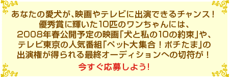 photocompe_t01.gif