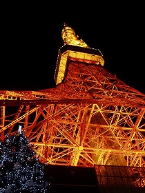 img20051129_4.jpg
