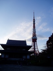 img20051129_1.jpg