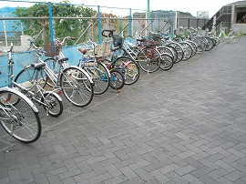 ss-p8270098.jpg