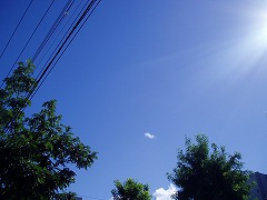 img20060625_1.jpg