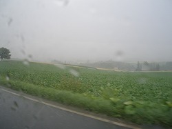 img20061021.jpg