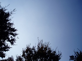 img20051201.jpg