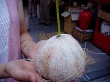 img20050829_2.jpg