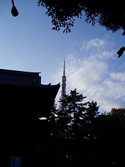 img20051129.jpg