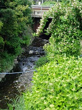 img20050531.jpg
