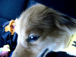 08-07R1