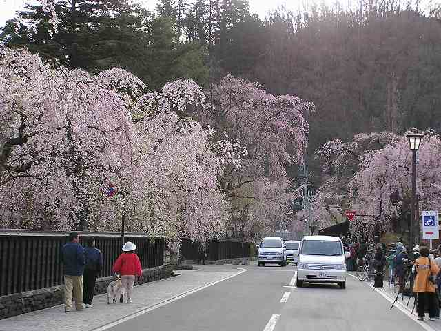 img20050501.jpg