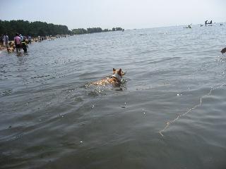 img_0587.jpg