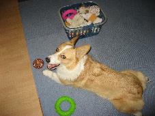 img_9611.jpg