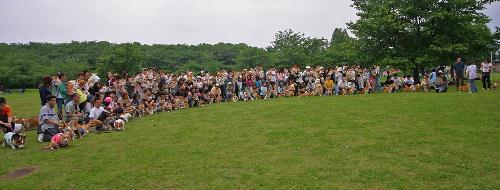 img20060528.jpg