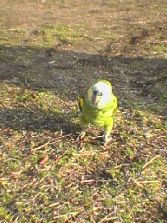 img20060221_1.jpg