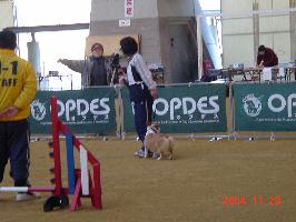 img20060825_3.jpg