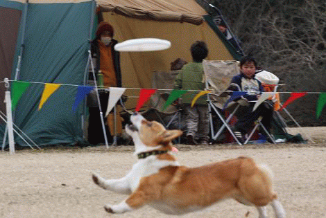 img20080224_1.gif