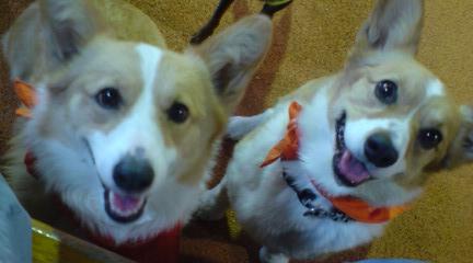 20070512133900.jpg