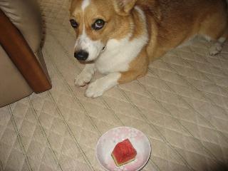 img_1718.jpg