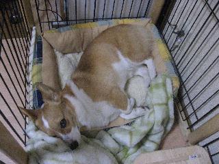 img_6126.jpg