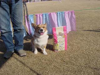 img20060129_2.jpg