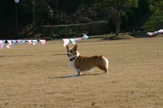 img20061225.jpg