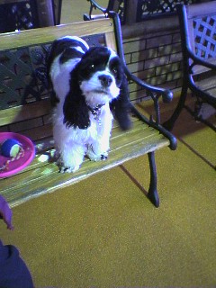 img20060330.jpg